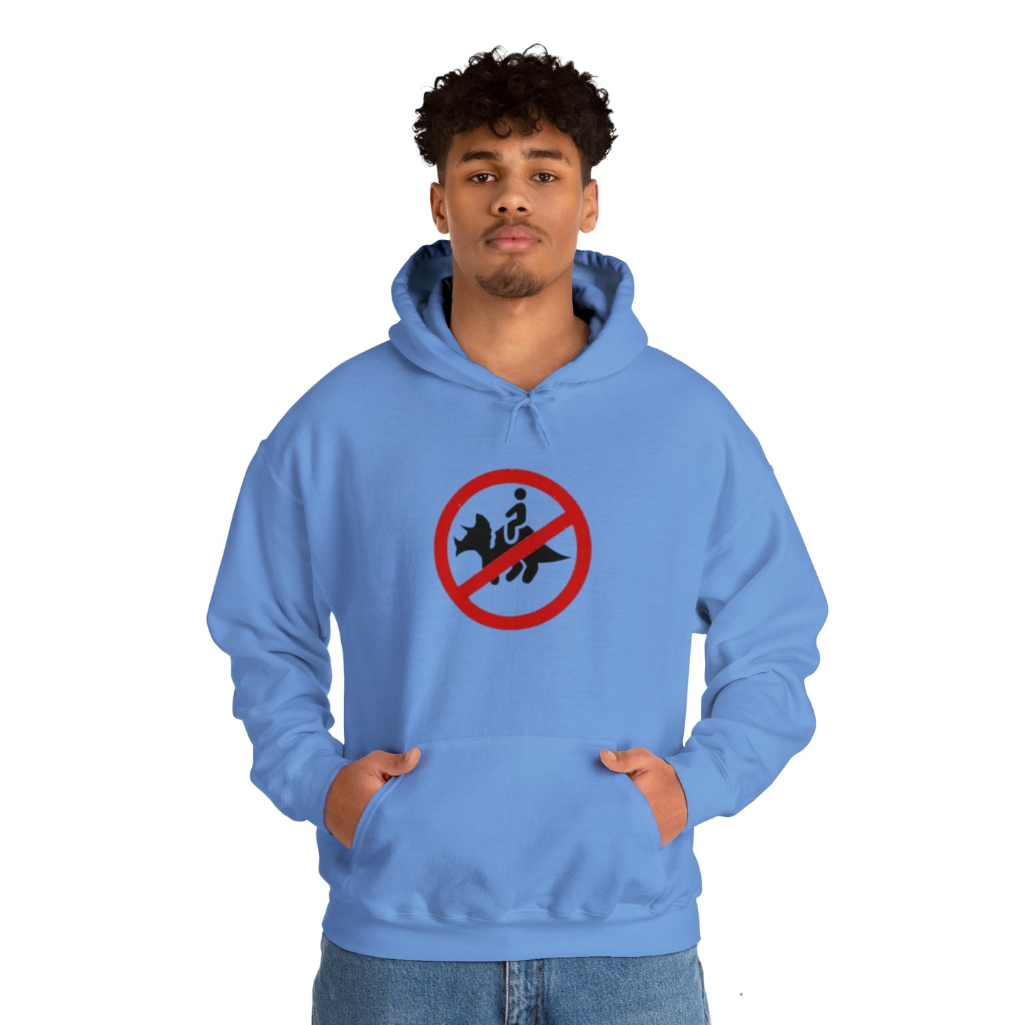 No dinos | Hooded Sweatshirt