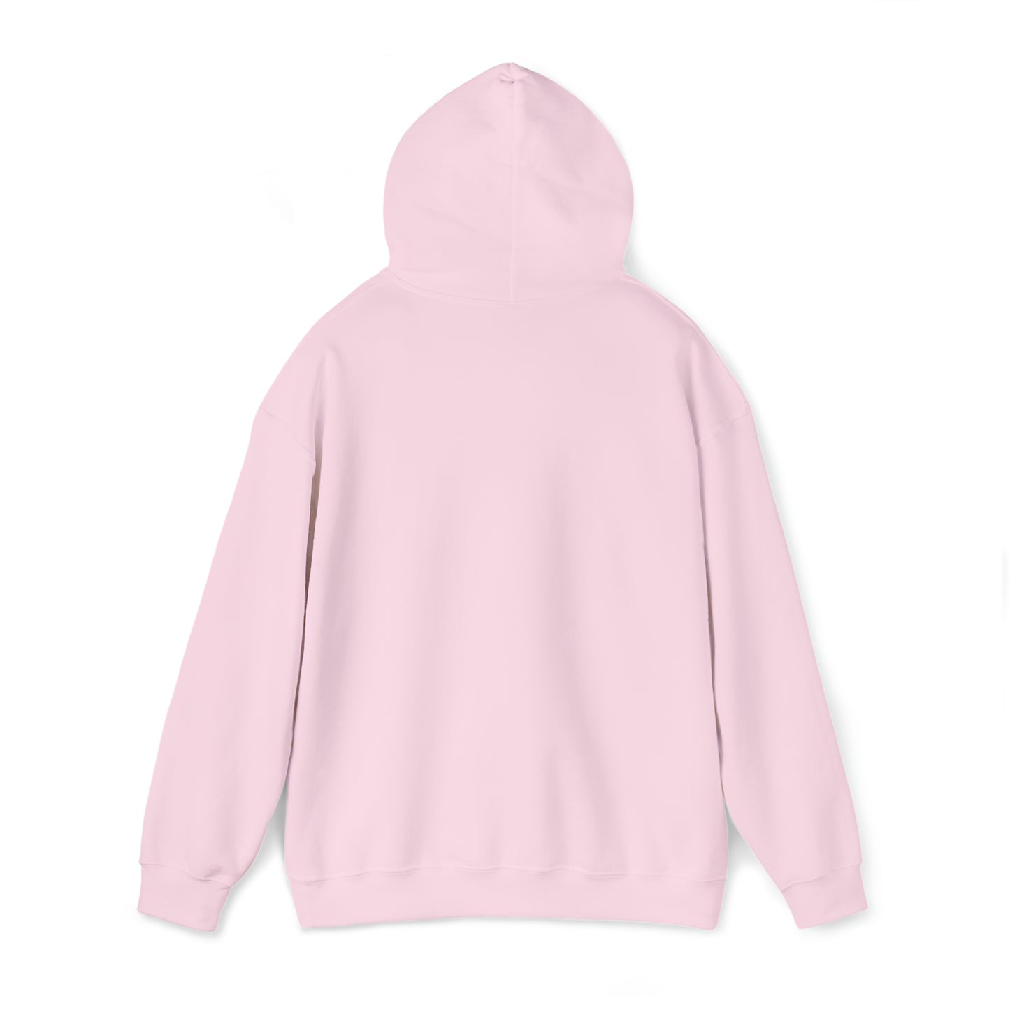 No <3 | Hooded Sweatshirt